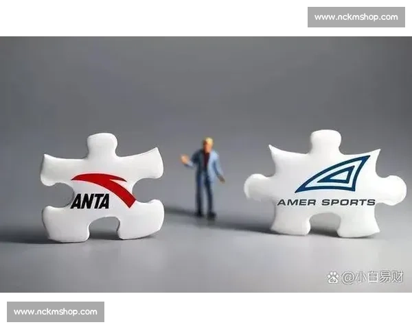 体育品牌创新发展路径与全球市场竞争格局深度解析与未来趋势研究